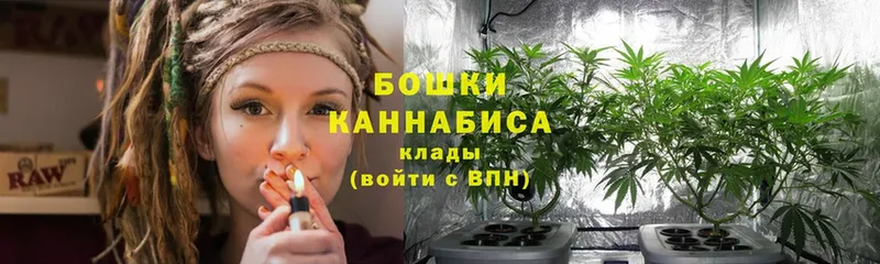 где купить   Малмыж  Конопля OG Kush 